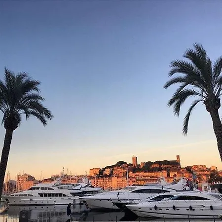 Apartment Palm Croisette Sea View Cannes
